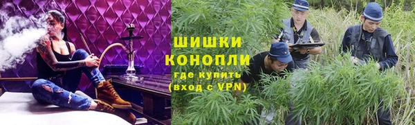 Альфа ПВП Белокуриха
