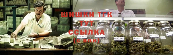 Альфа ПВП Белокуриха